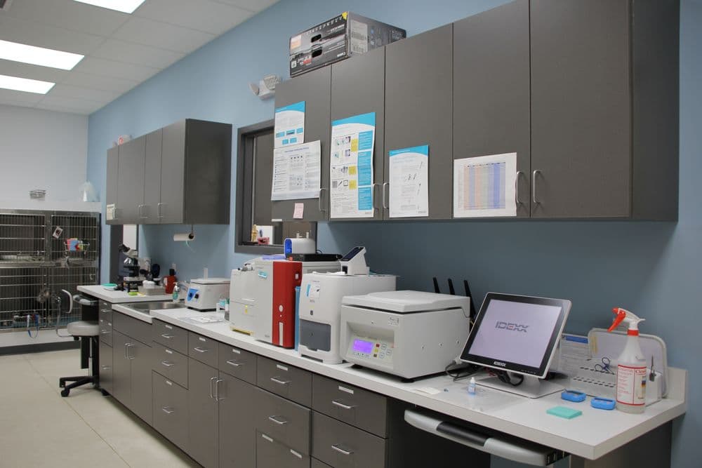 Sabal Chase Animal Clinic