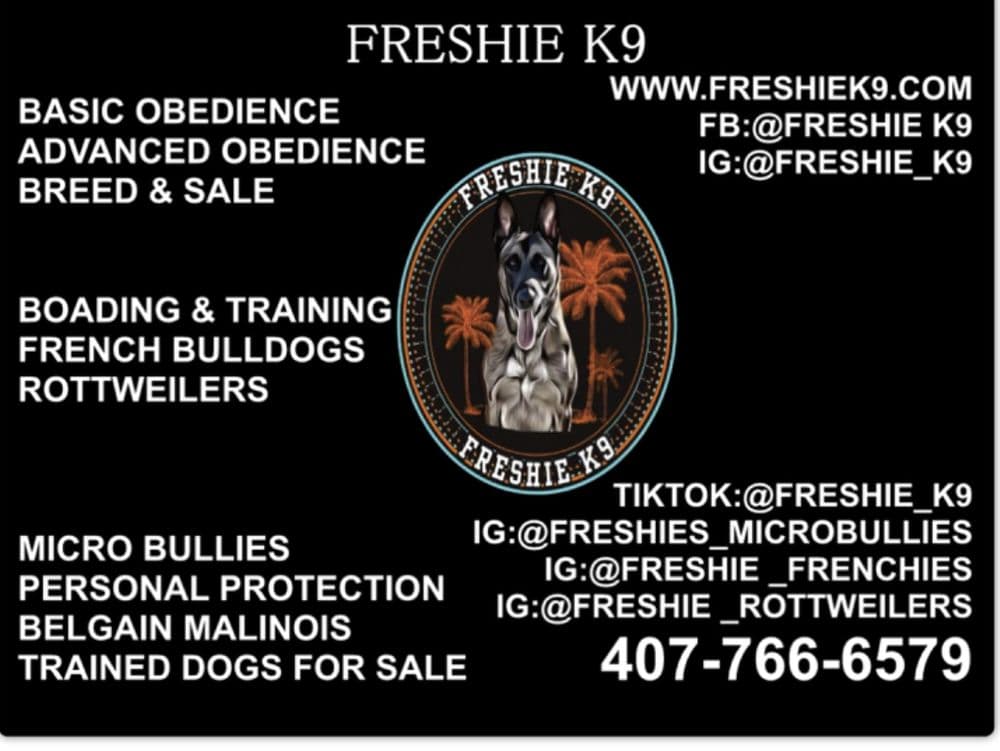 Freshie K-9