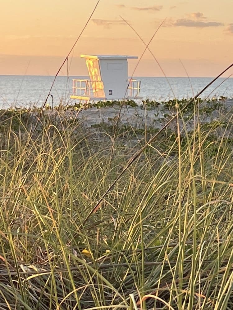 Alan Shepard Park