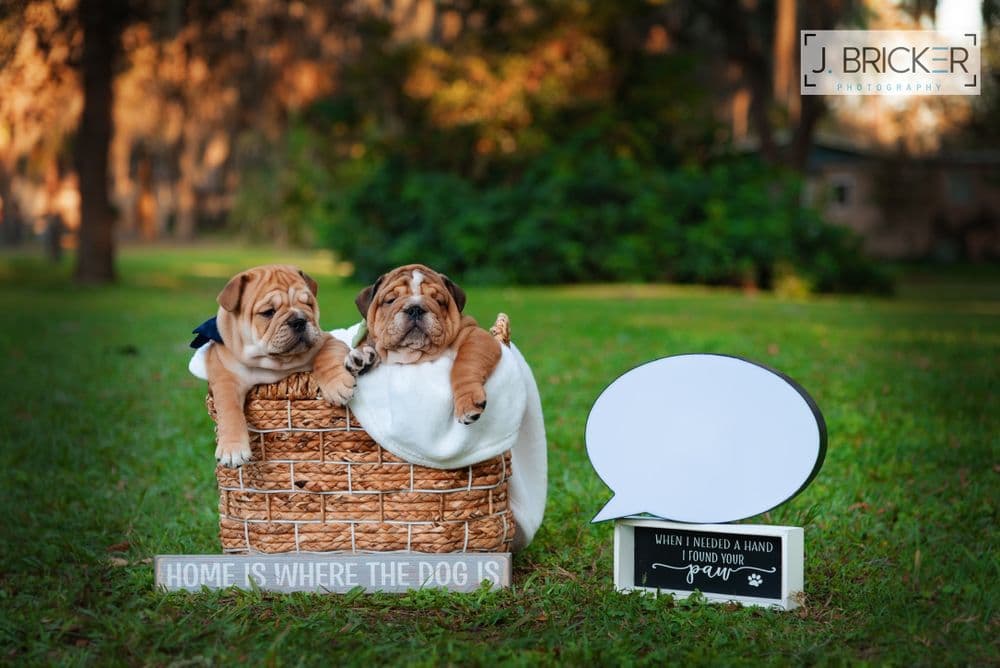 J Bricker Photography