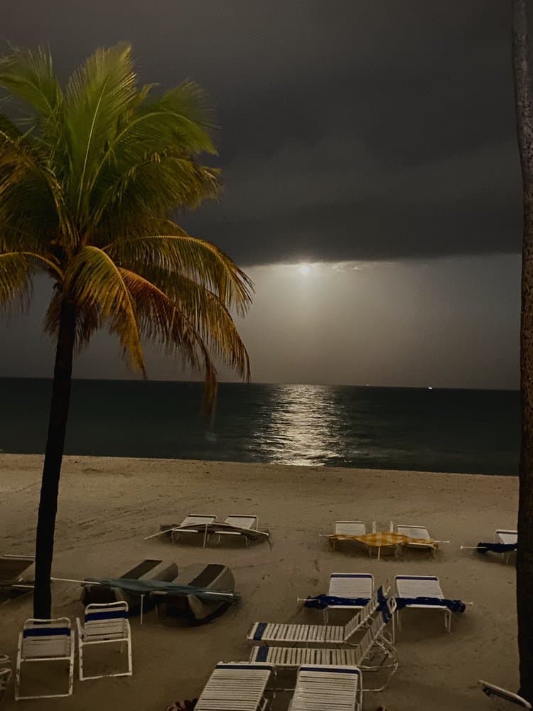 Lauderdale Beach