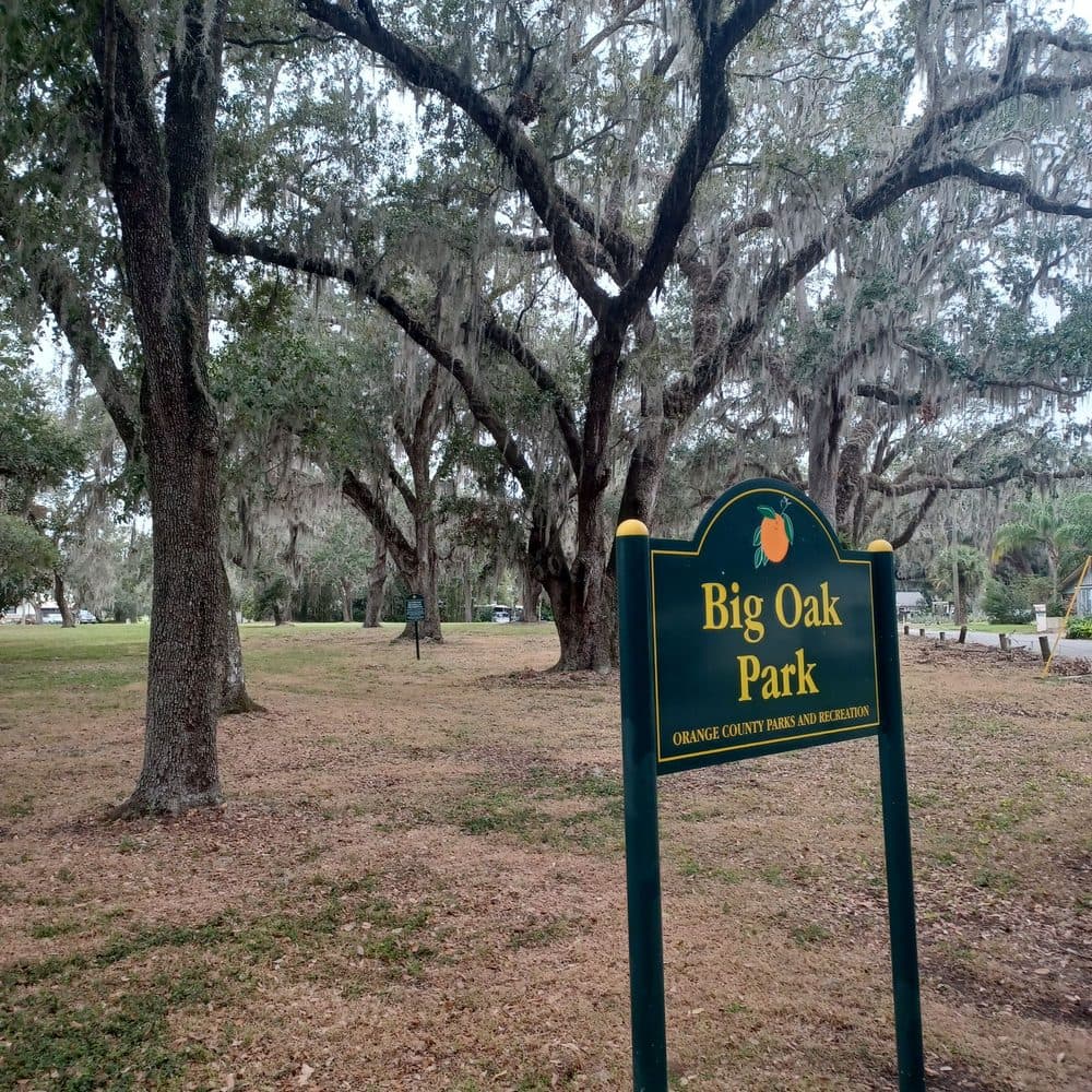 Big Oak Park