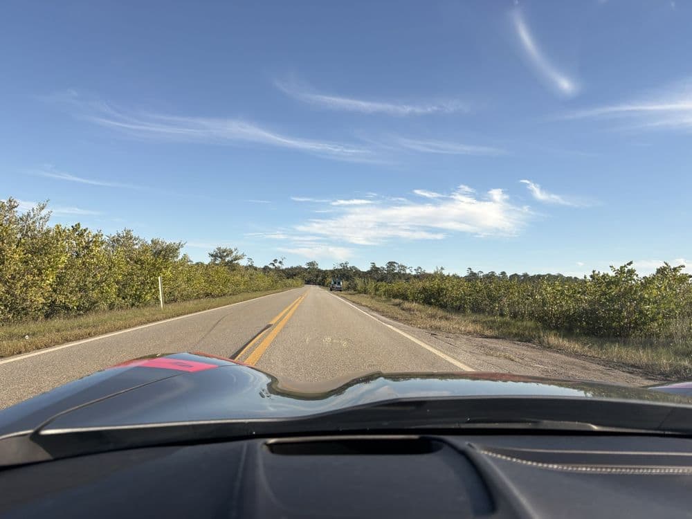 Ormond Scenic Loop & Trail