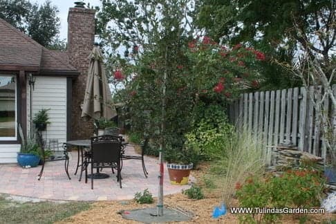 Tulinda's Garden