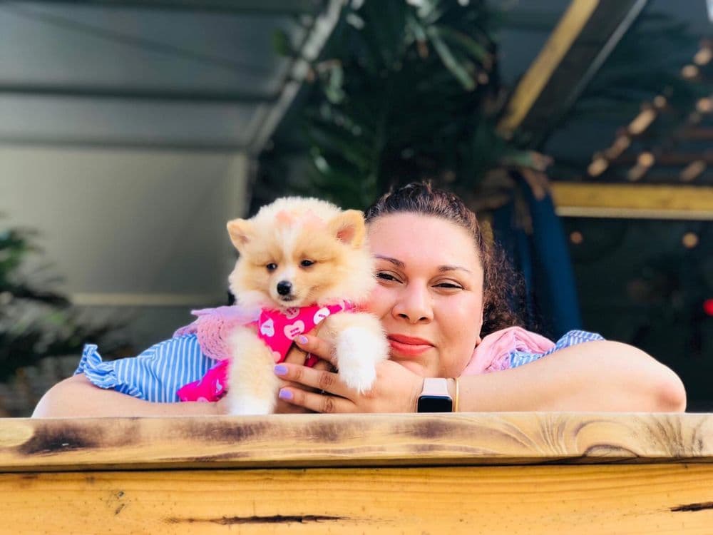 Miami's Puppies