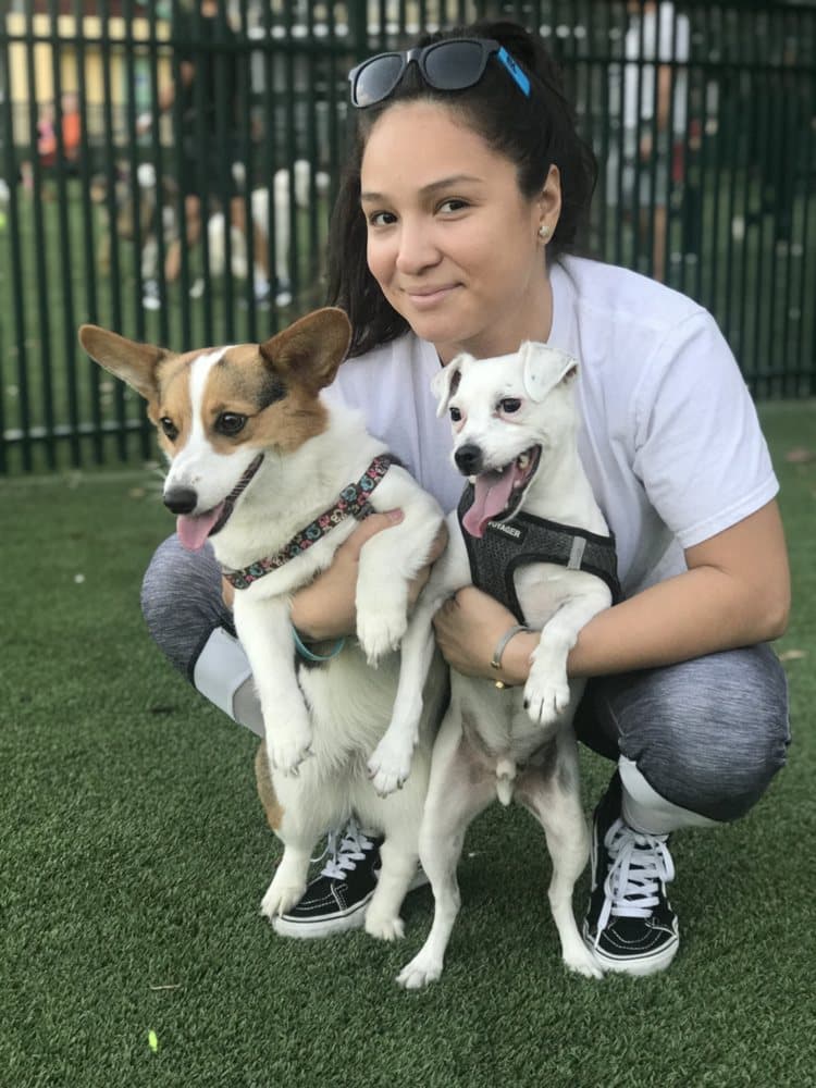 TLC Pet Services