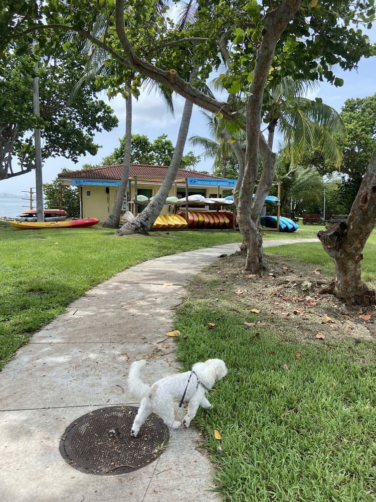 Morningside Watersports