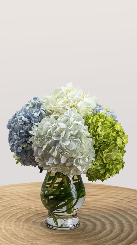 Fort Myers Floral Designs