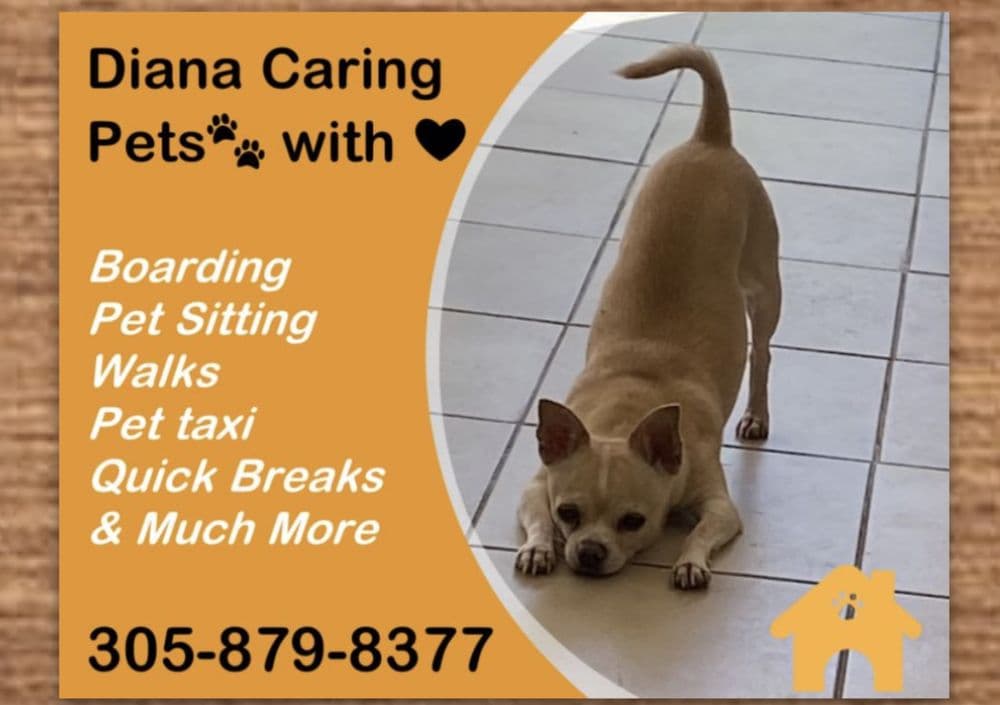 Diana Caring Pets with Love