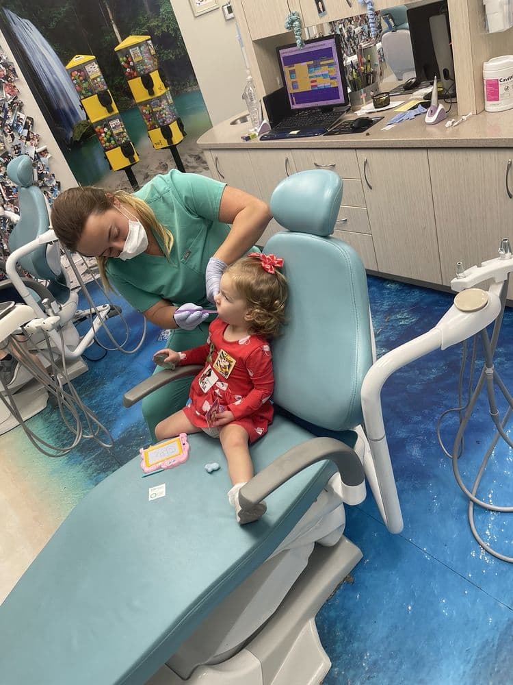 South Tampa Kids Dental Krewe