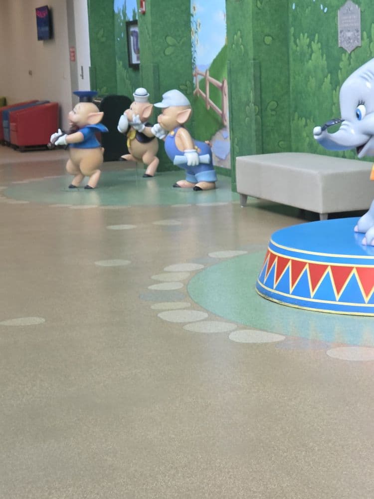 Arnold Palmer Hospital For Children