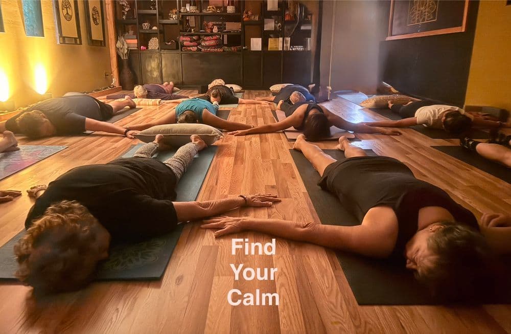 Mind Body Movement Living Laboratory