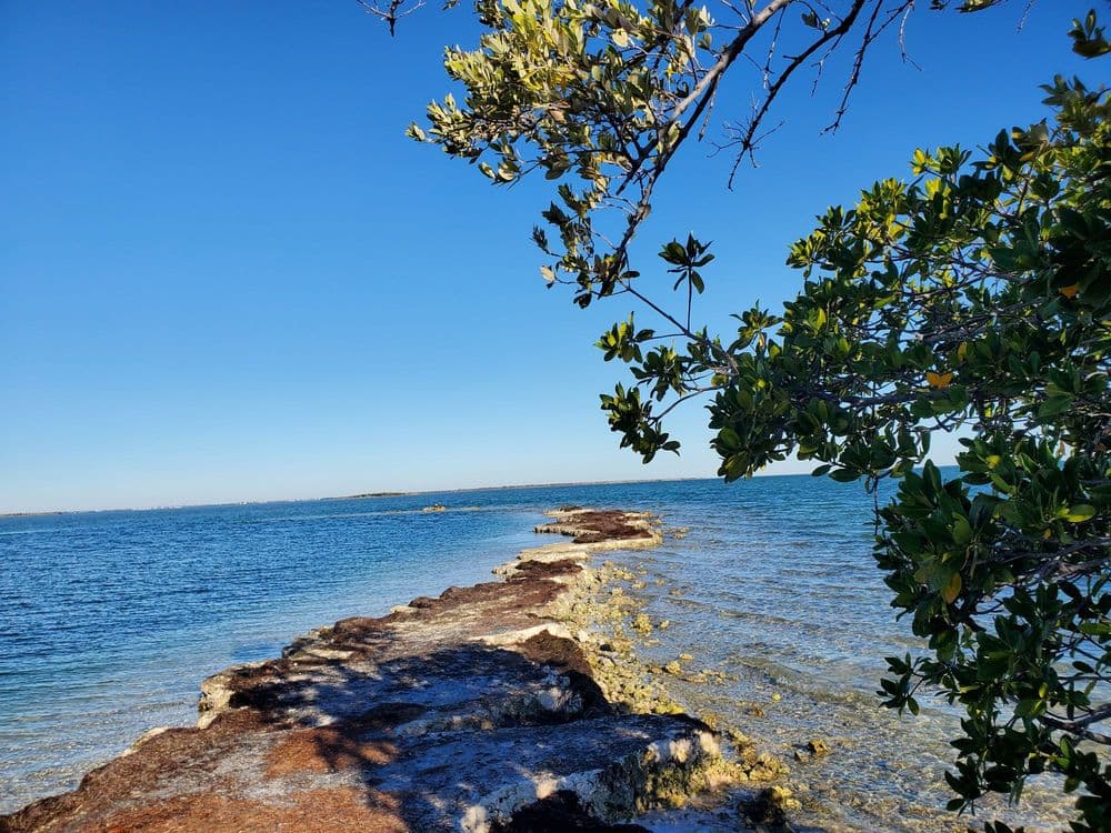 Horseshoe Beach