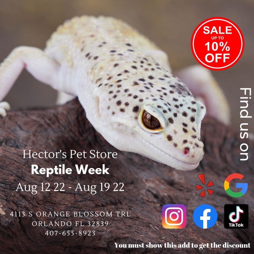 Hector's Pet Store