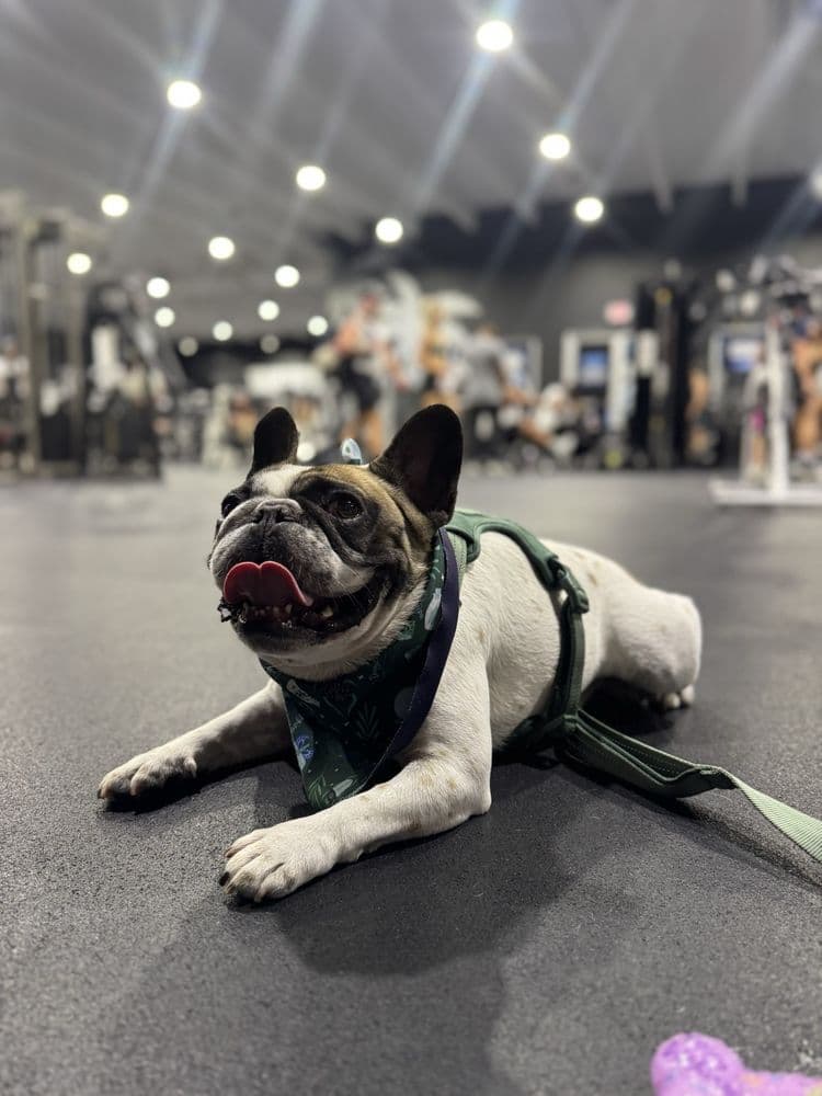 Paradise Gym