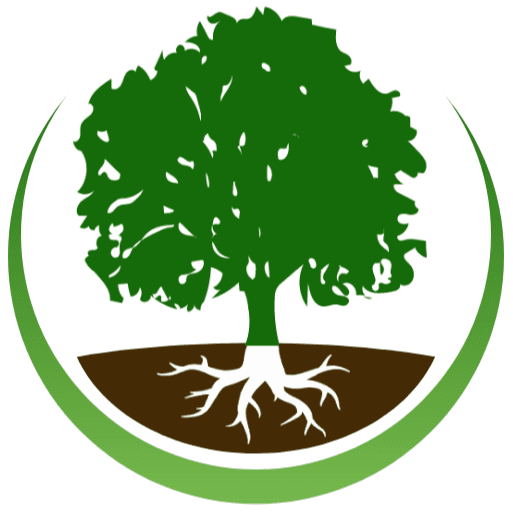 Q & M Tree and Lawn Service