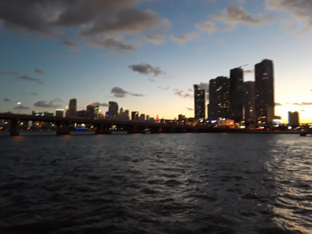 Free Buggy Ride