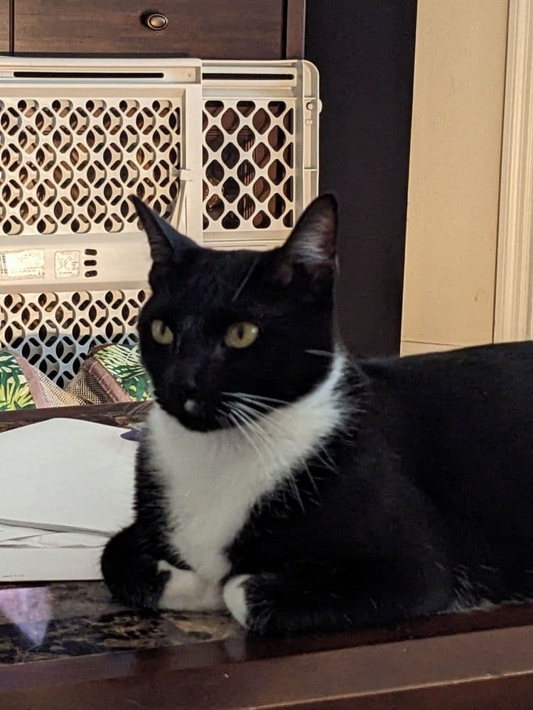 Southpaw Animal Health
