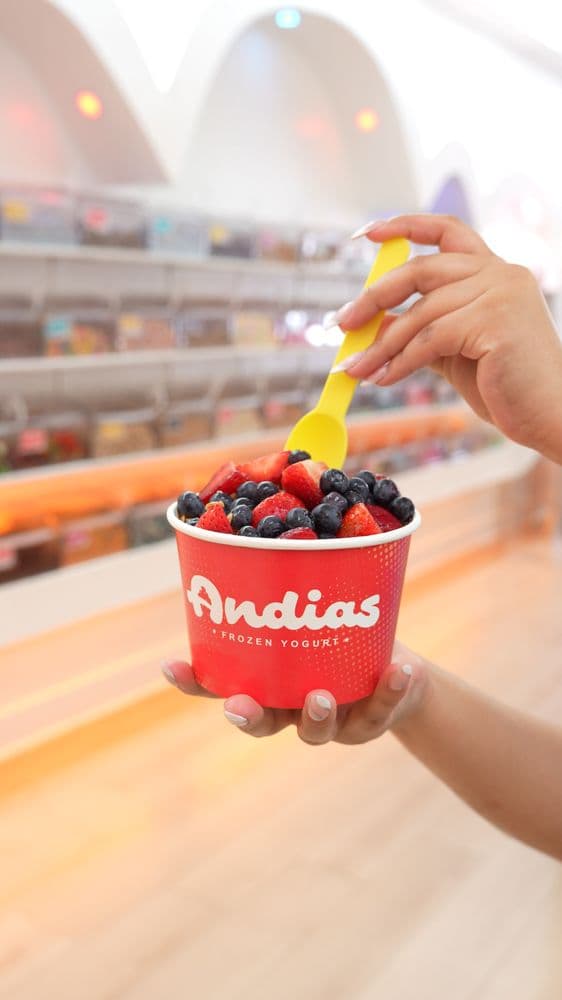 Andias Frozen Yogurt