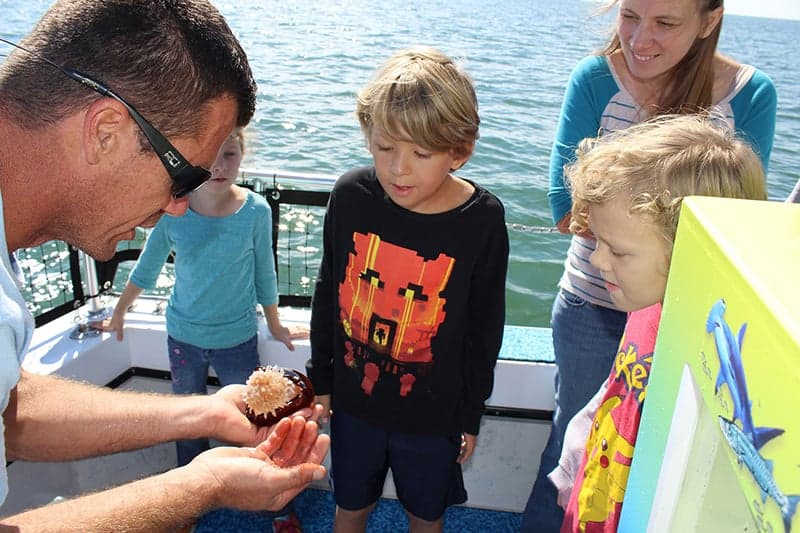 Time and Tide Tours