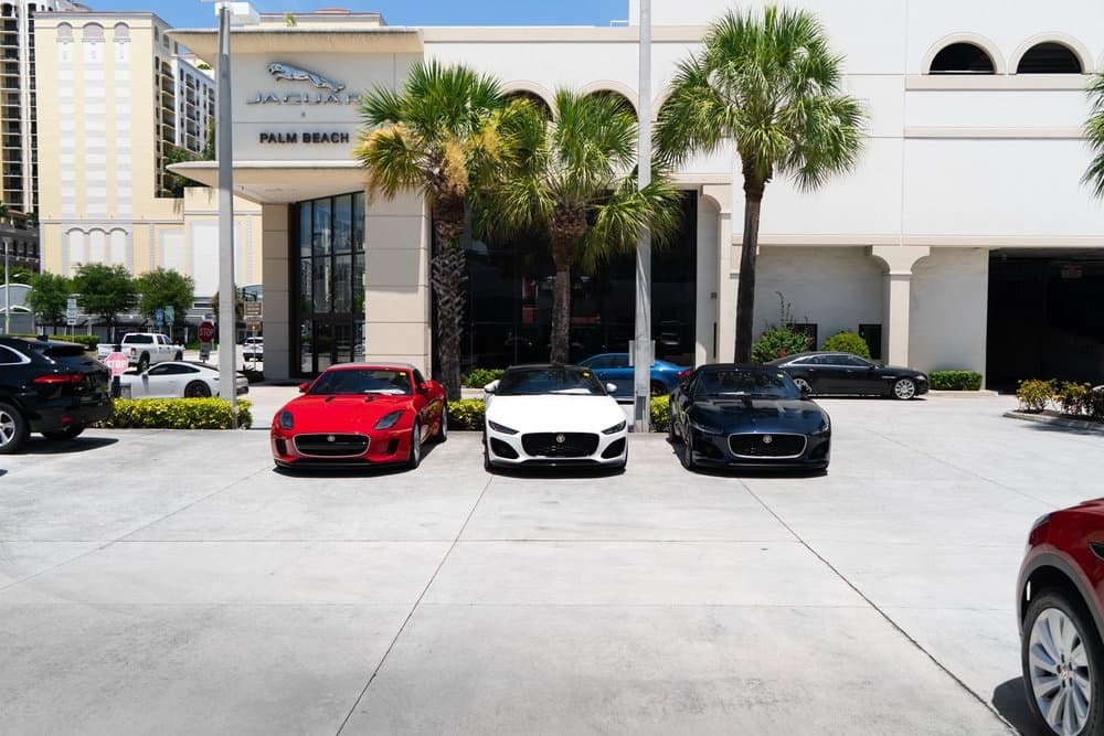 Jaguar Palm Beach