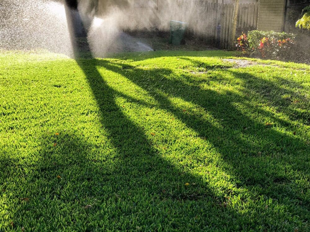 Lawn Doctor