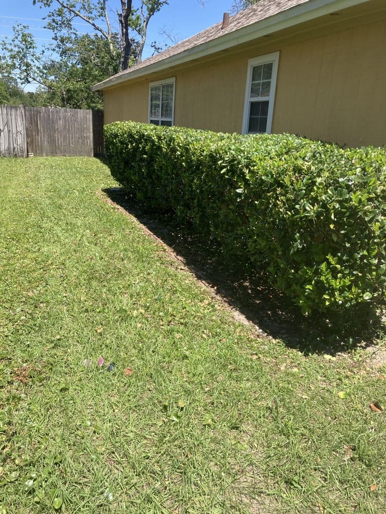 Tolson Lawn Care
