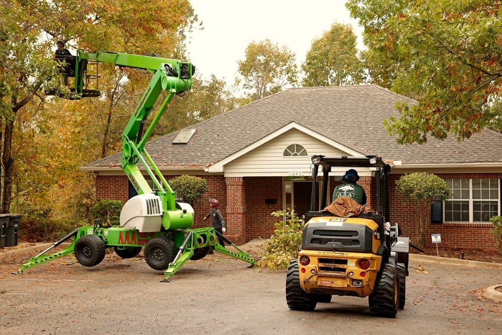 AAA Tree Experts