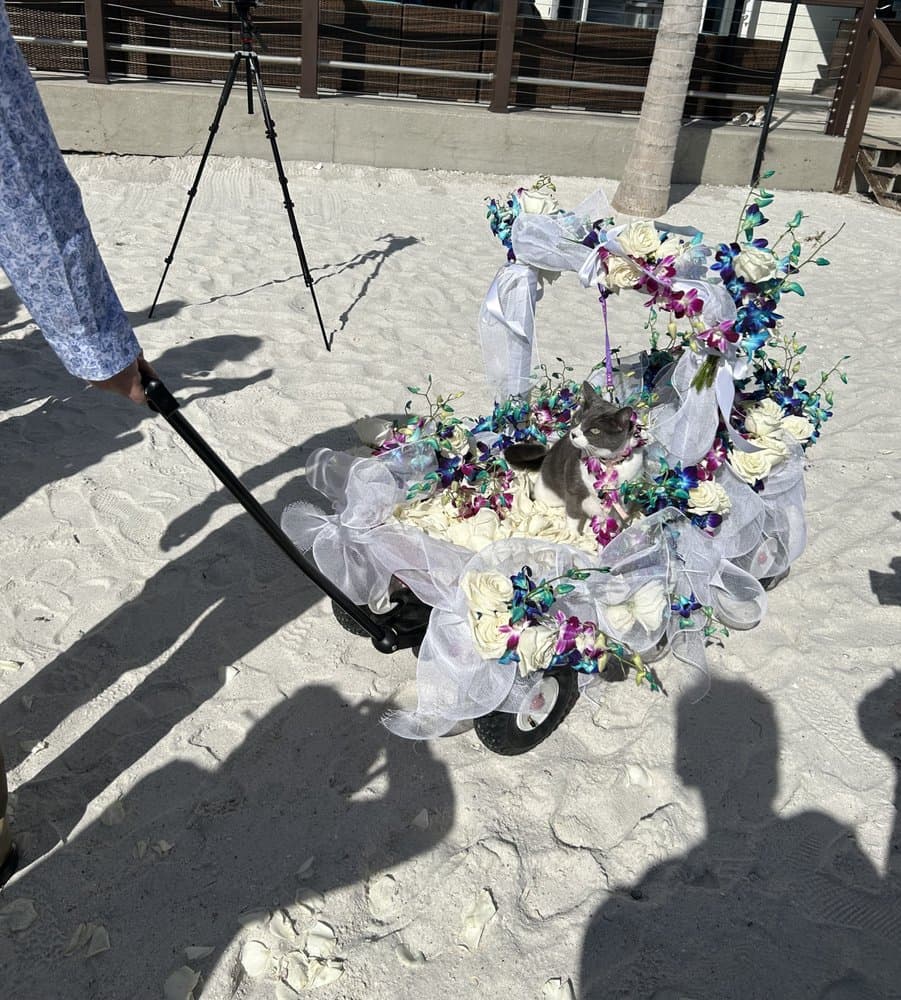 Karen's Florist of Gulfport