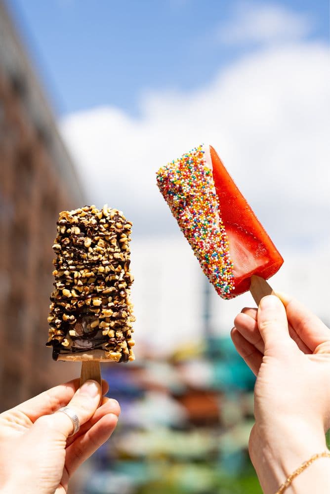 Morelia Gourmet Paletas - Coconut Grove