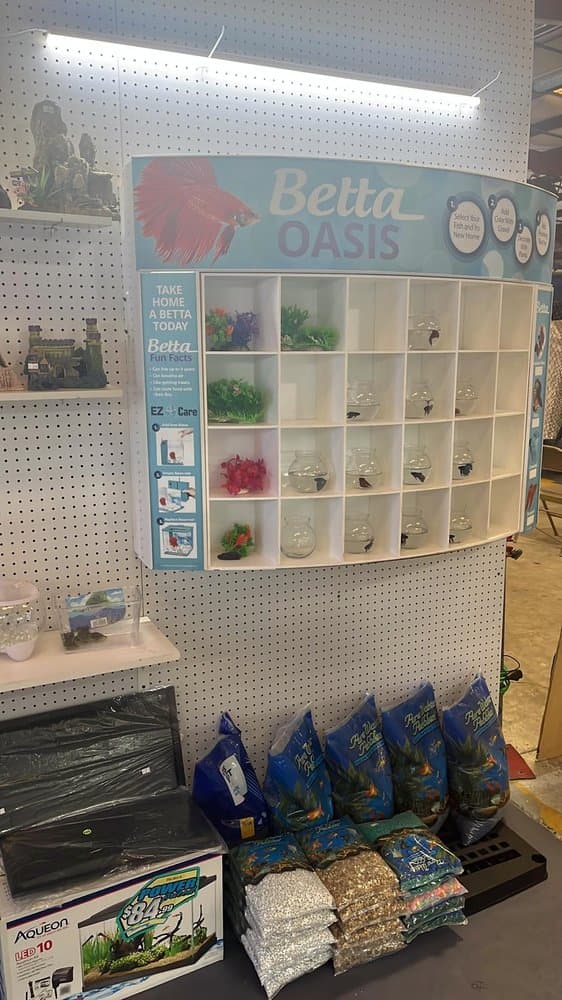 Petsus