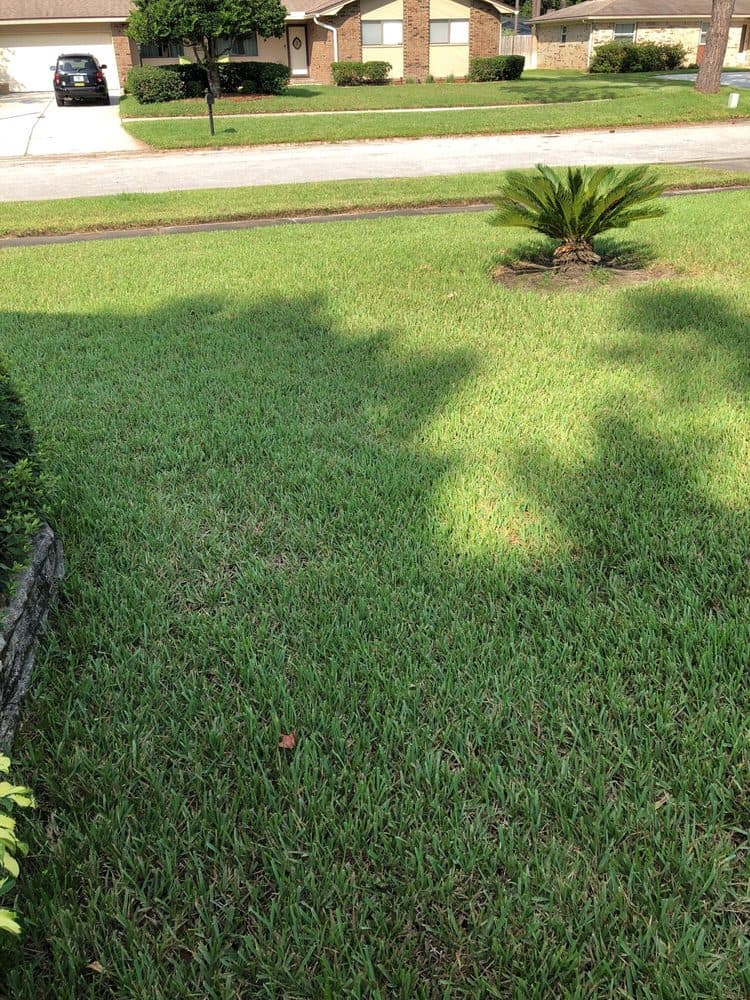 Kace Lawn Pros