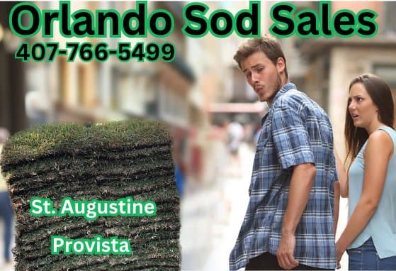 Orlando Sod Sales