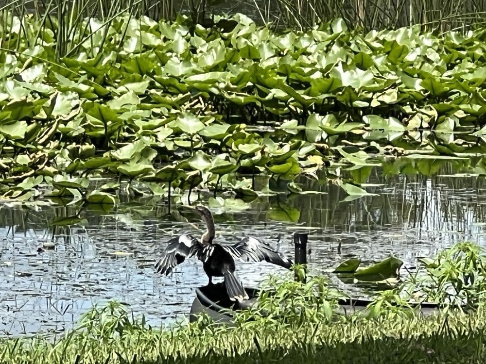 Park Lake Park