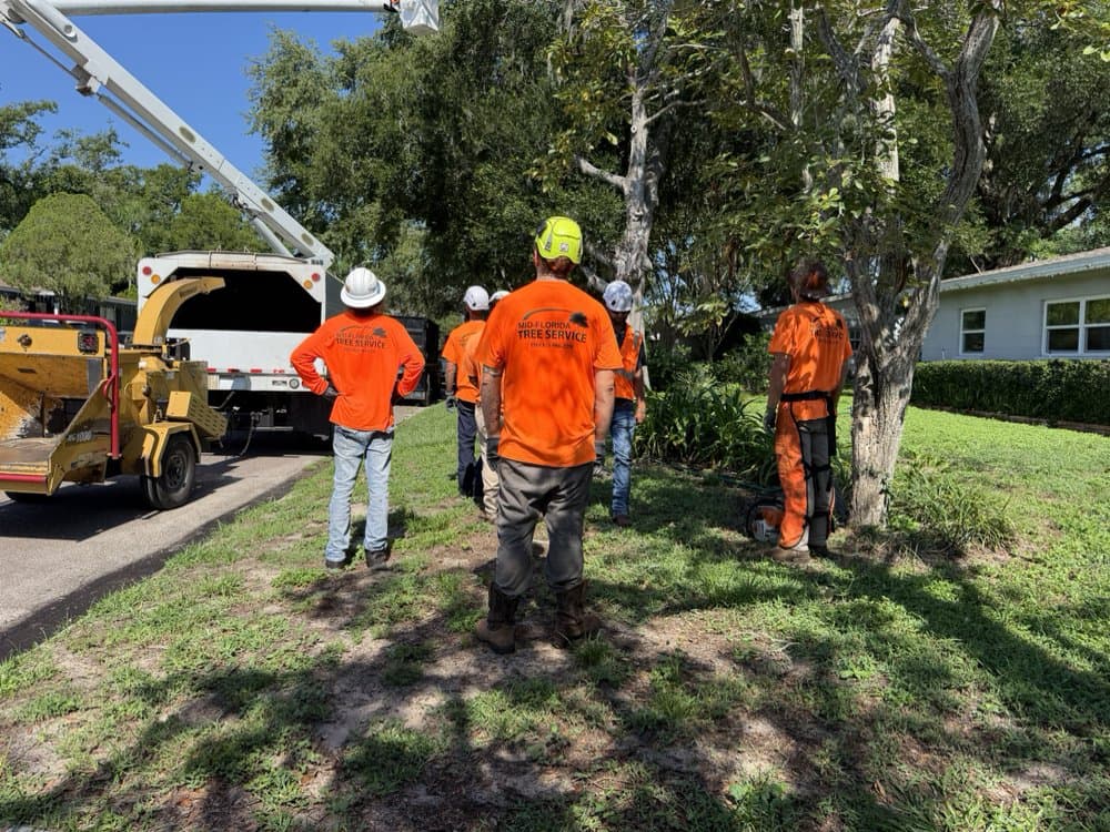 Mid-Florida Tree Service