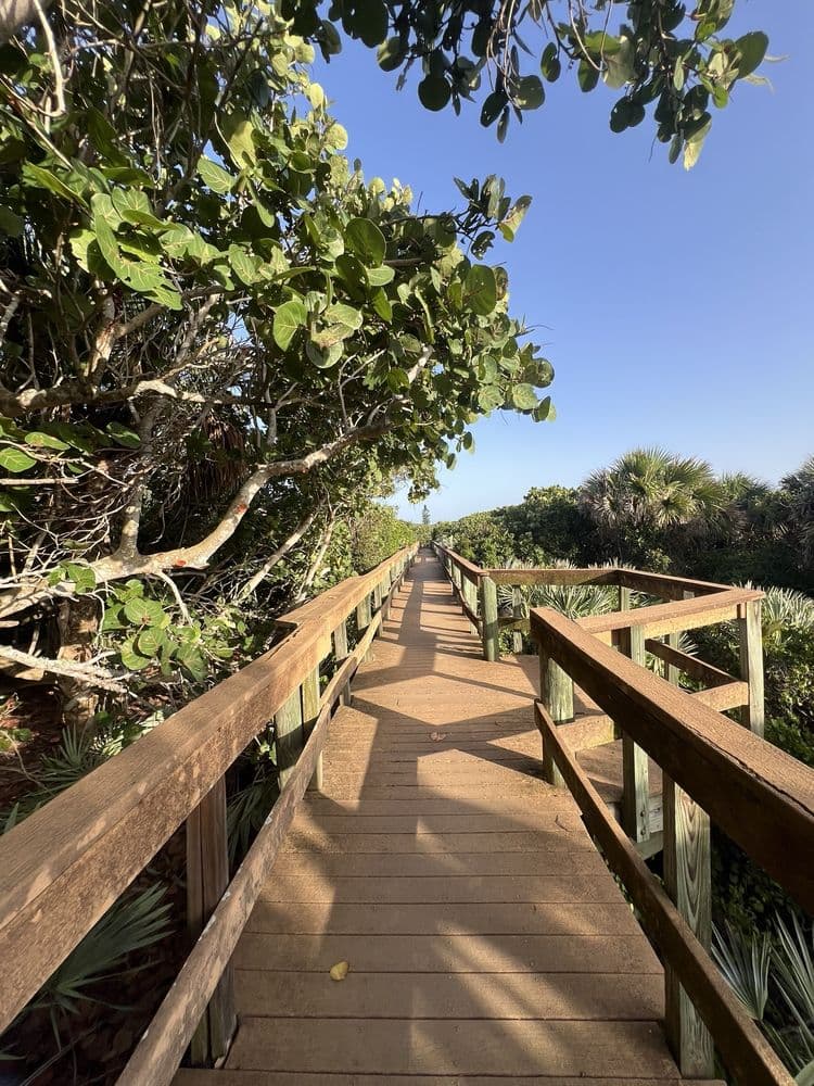 Bonsteel Park