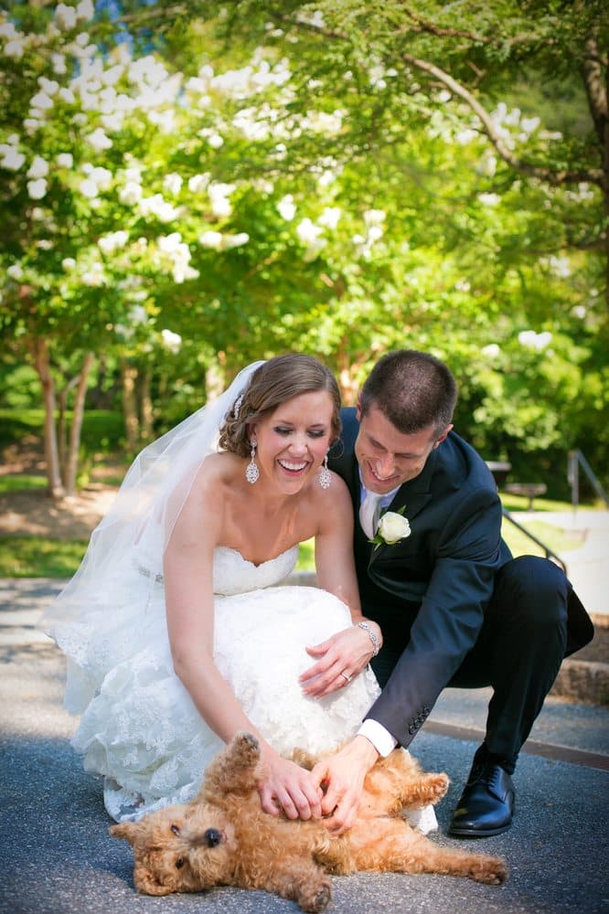Michelle VanTine Photography