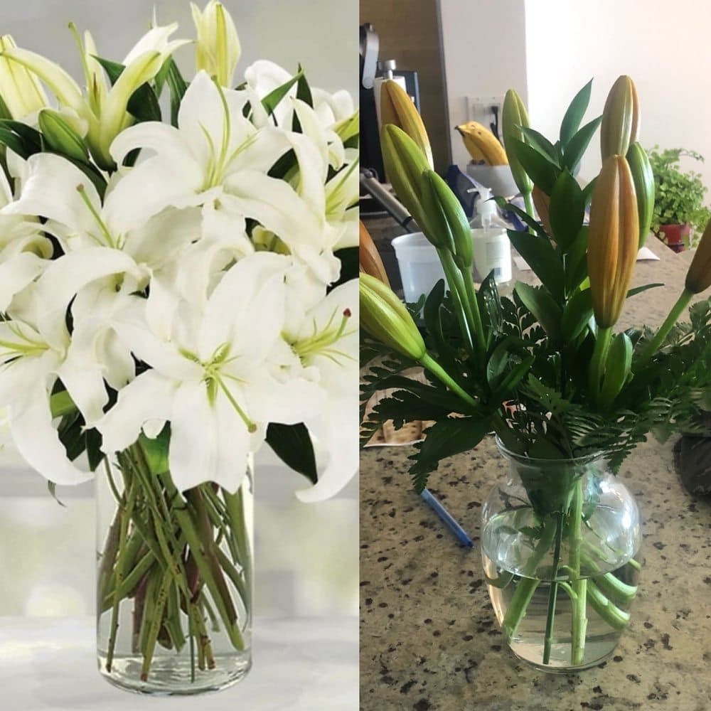 Yosvi Florist