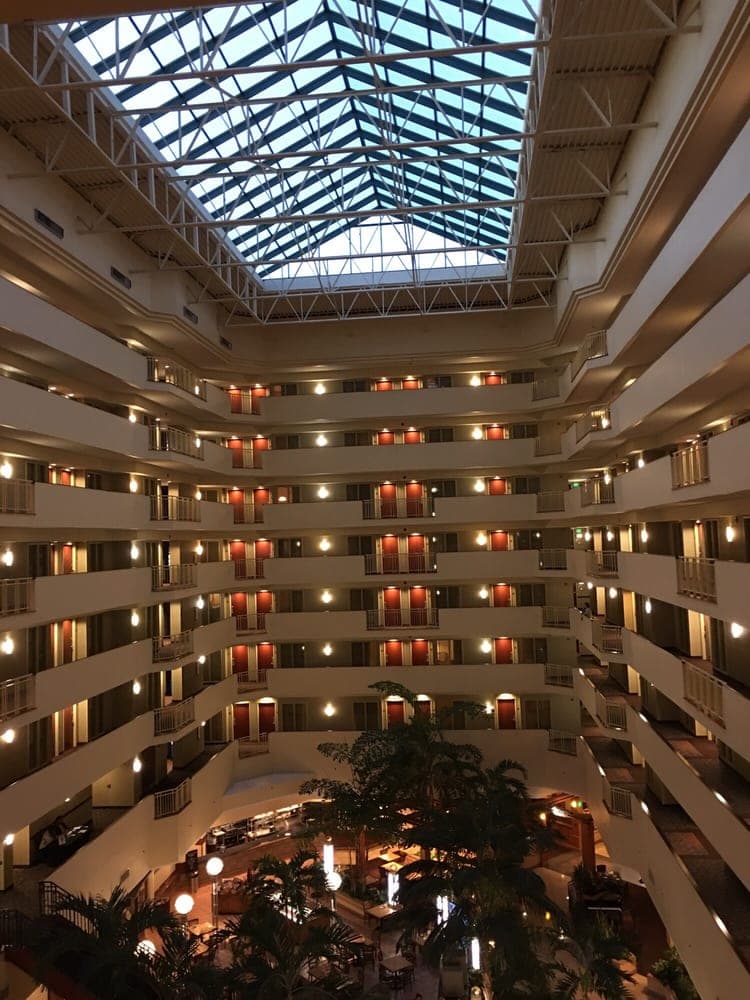 Embassy Suites by Hilton Tampa USF Near Busch Gardens