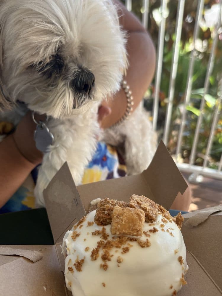 The Salty Donut