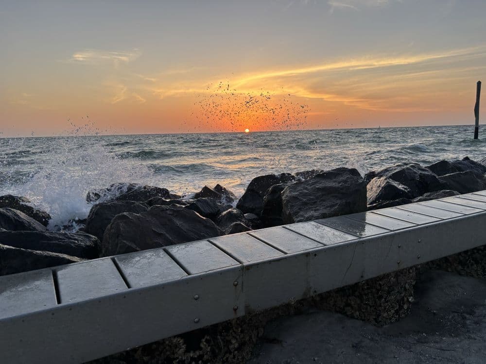 Honeymoon Island State Park