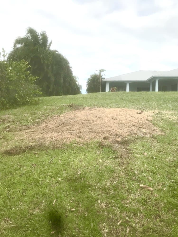 Oddie’s Landscaping Management