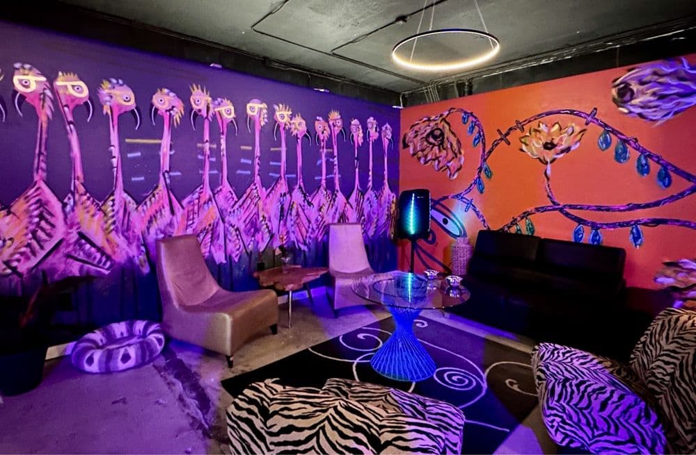 Kavana Kava Bar