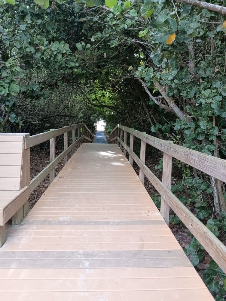 Peacock Beach