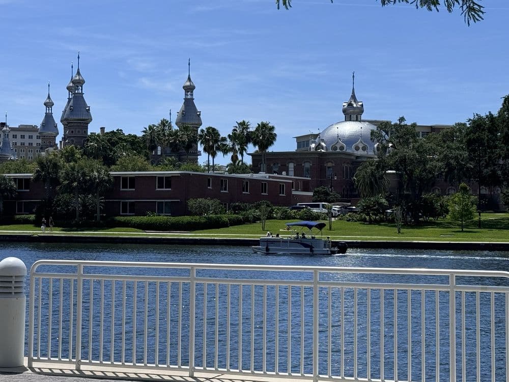 Tampa Dog Run