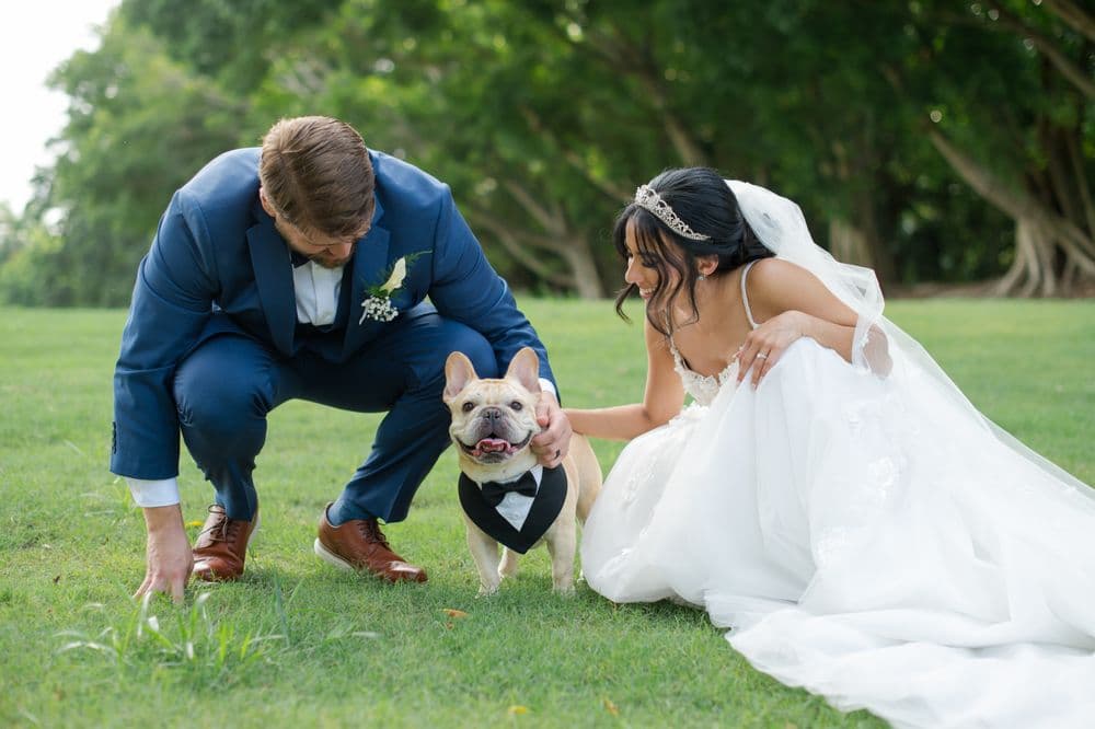 Aleks Victoria Photography