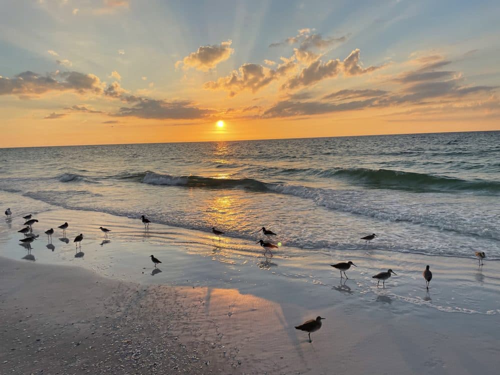 Belleair Beach