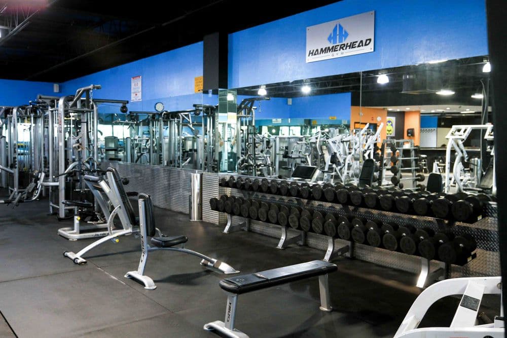 Hammerhead Gym