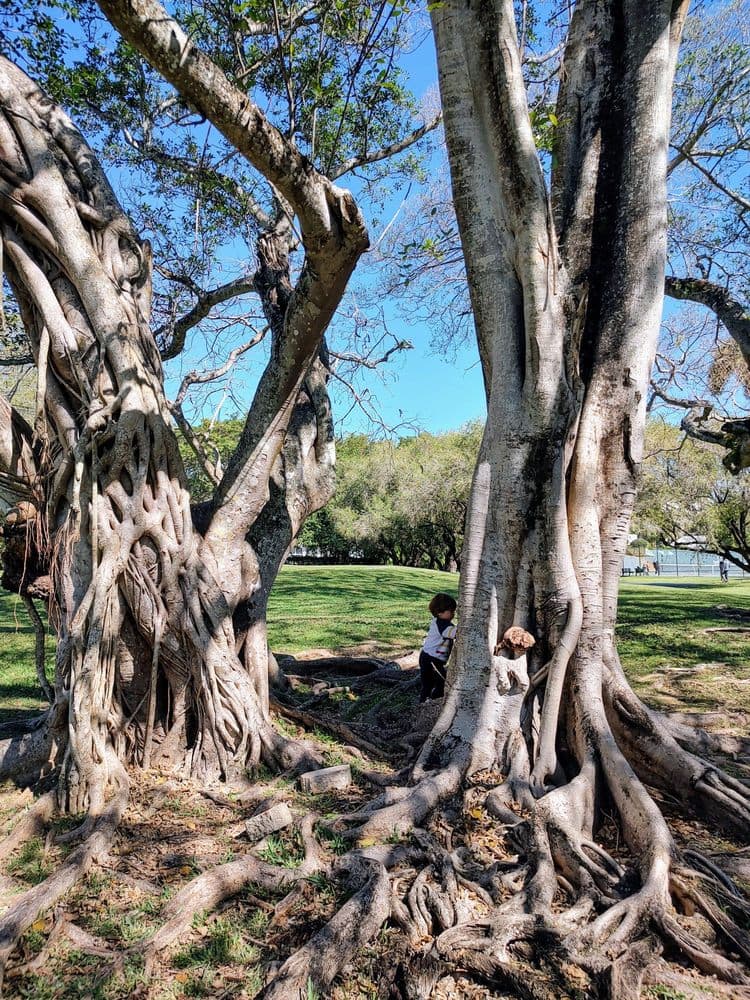 Dante Fascell Park