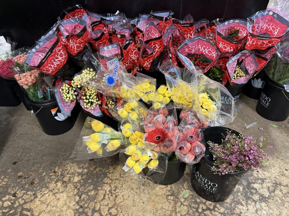 Orlando Wholesale Florist